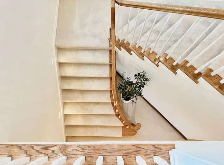 Beautiful plush white carpet throughout